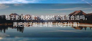 柚子影视校准：先校结论强度合适吗，再把例子标注清楚（句子拉直）