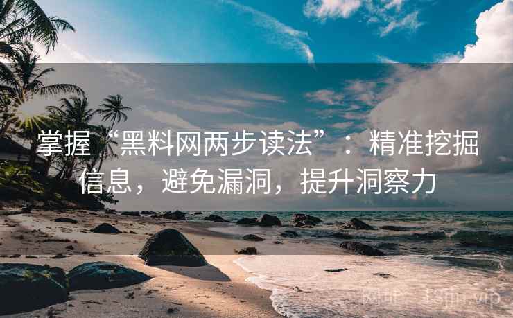 掌握“黑料网两步读法”：精准挖掘信息，避免漏洞，提升洞察力